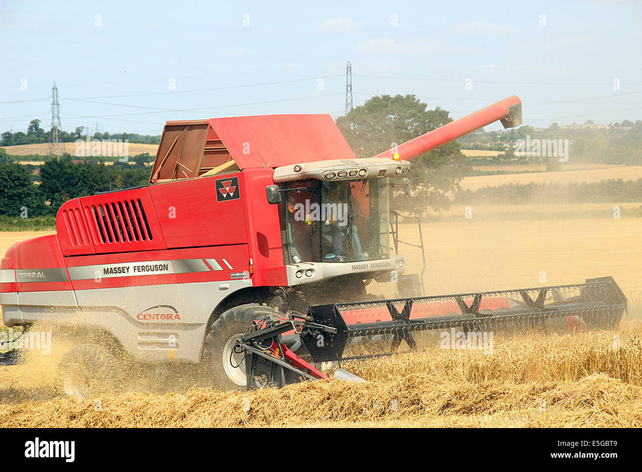 Nuneham Courtenay, Oxfordshire, UK. 30th July, 2014. Wheat harvest at Nuneham Courtenay. Credit: shane leach/ Alamy Live News Stock Photo