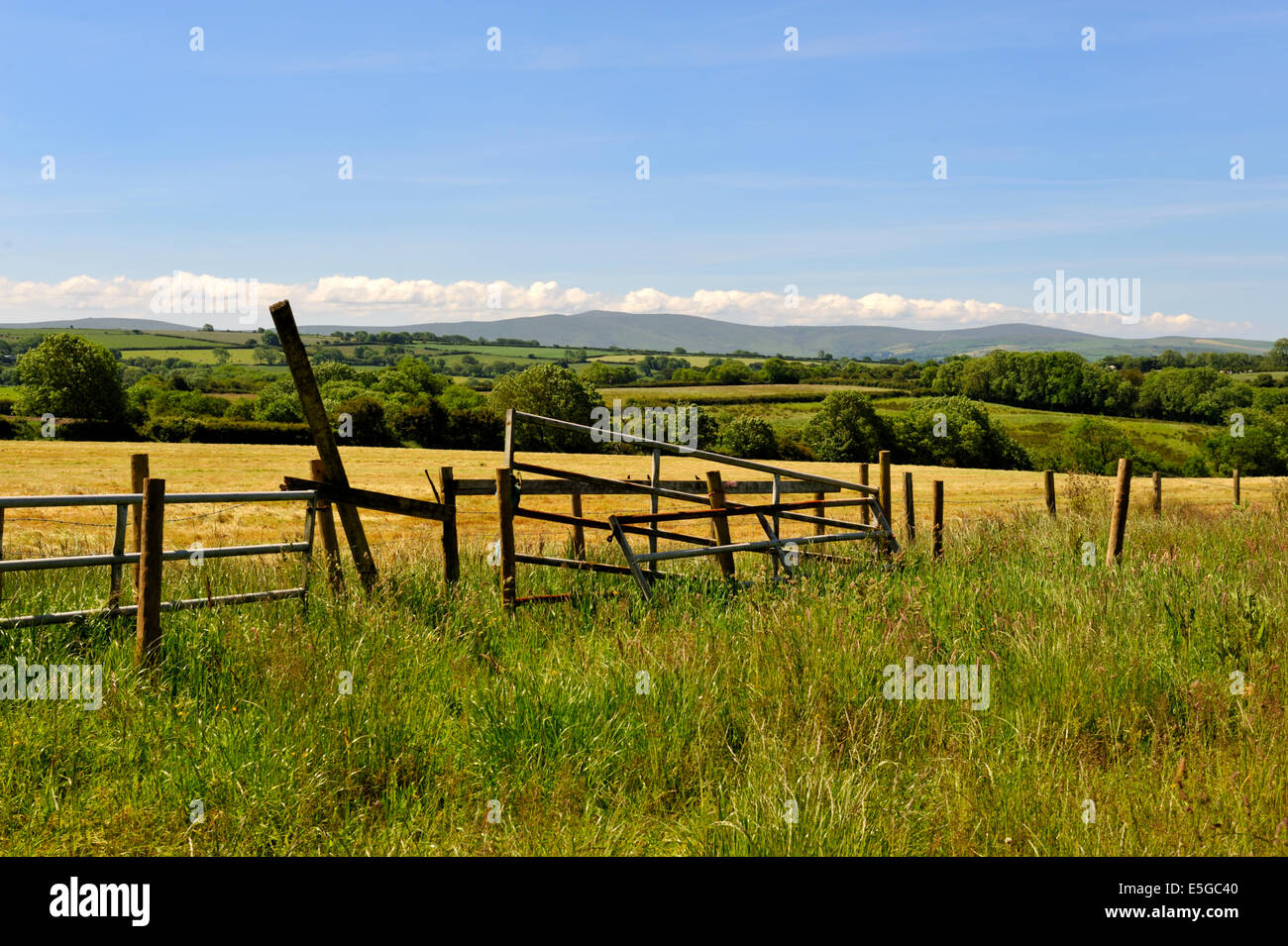 Fields in Pembrokeshire near Cilgerran, Wales during summer Stock Photo
