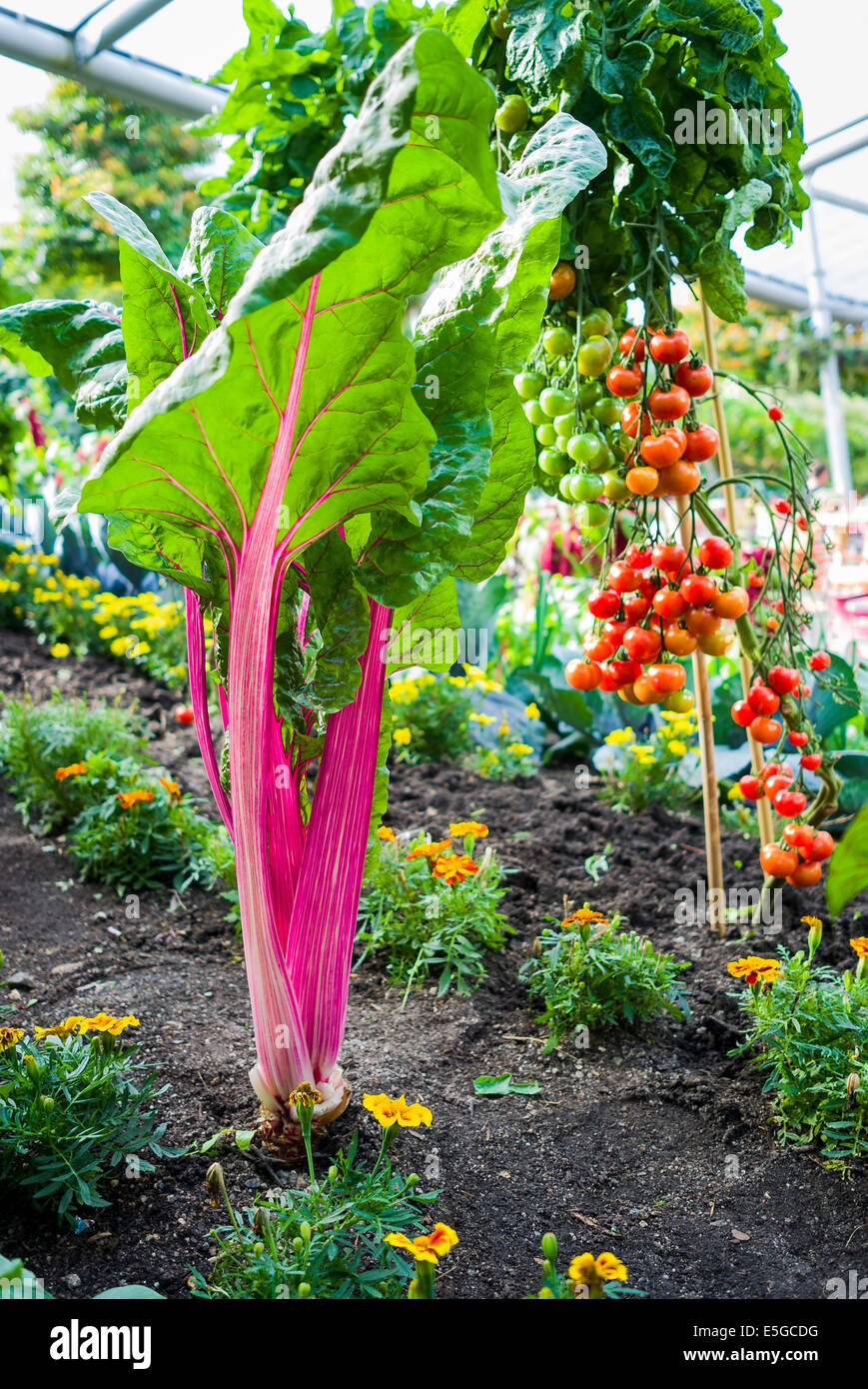 flora inside the secret world of plants Flora: The Secret Language of Plants in Art