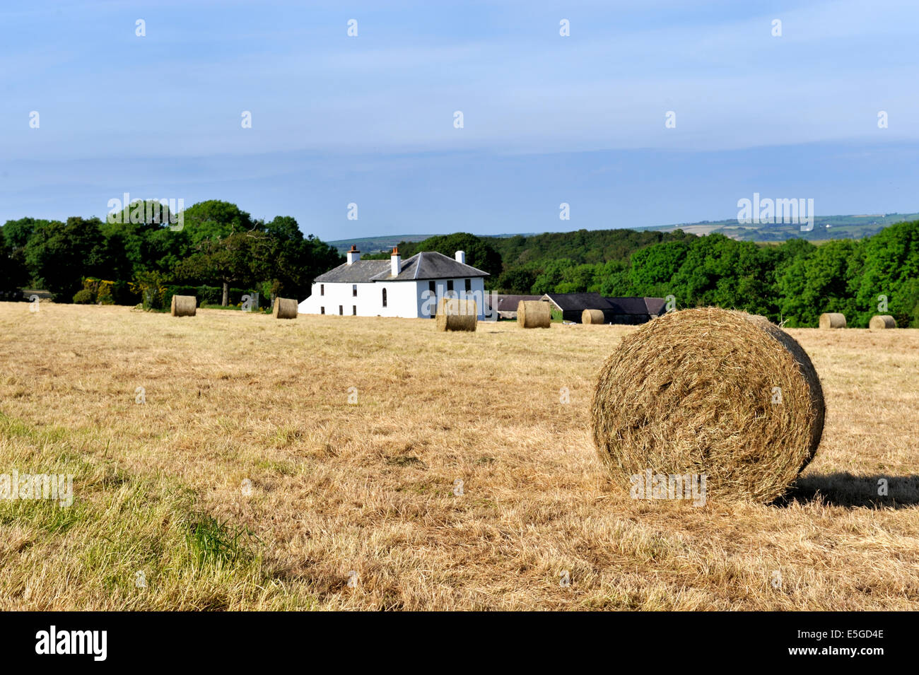 Round hay bales in field near Cardigan, Wales, UK Stock Photo