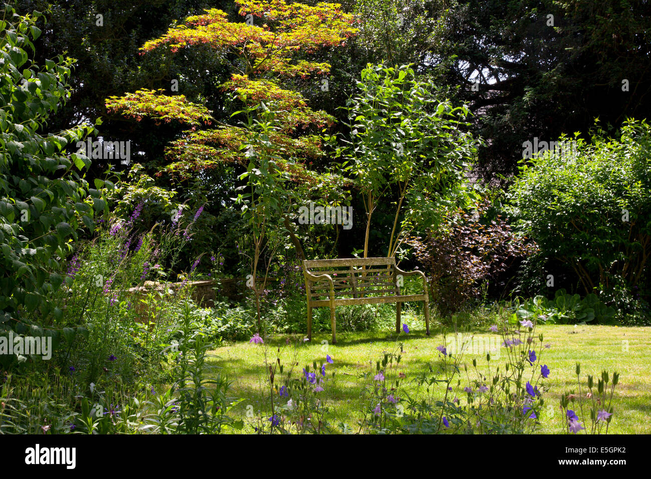 Wooden Garden bench seating in English summer garden Stock Photo