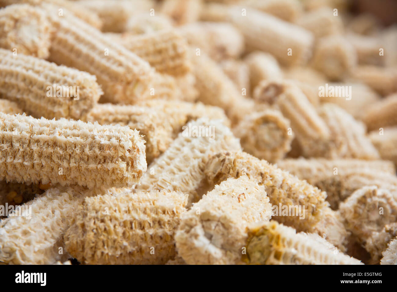 Round Corn Protein fodder hi-res stock photography and images - Alamy