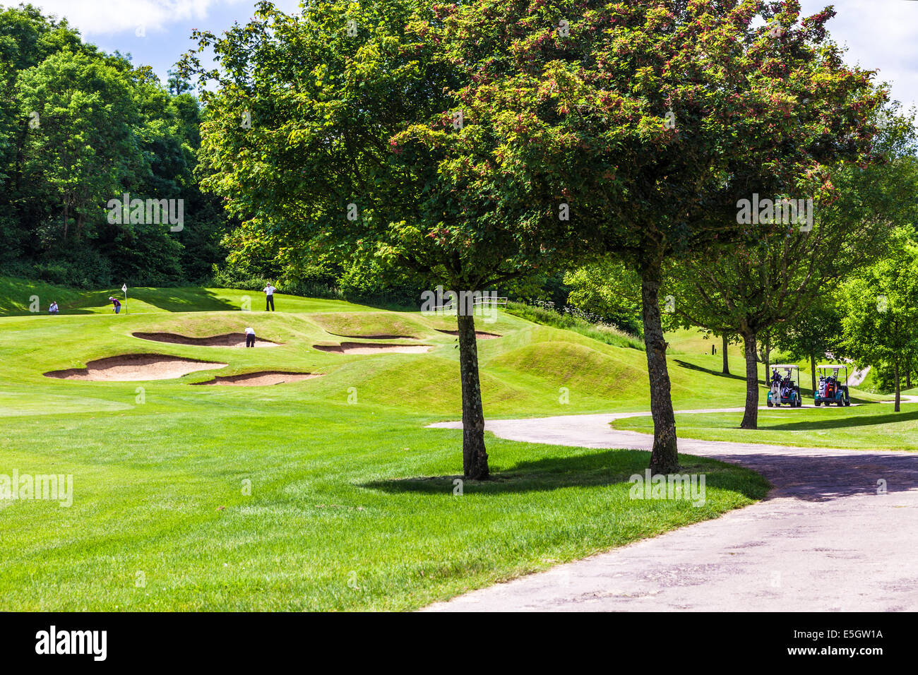 Four male golfers playing near bunkers on a golf course. Stock Photo