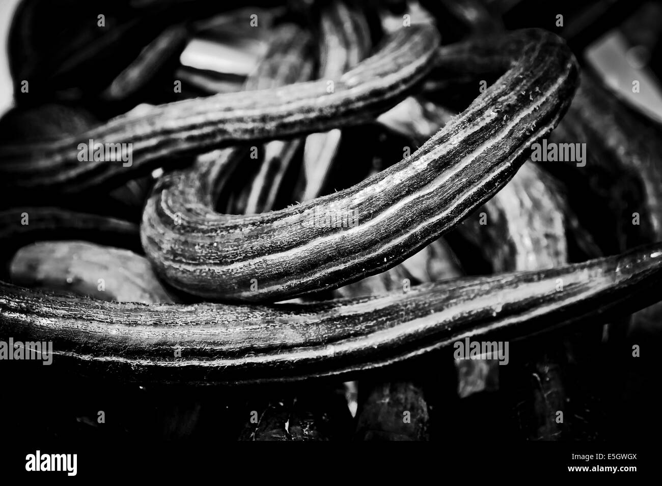 Bloomington Indiana Farmers Market cucumbers black and white horizontal