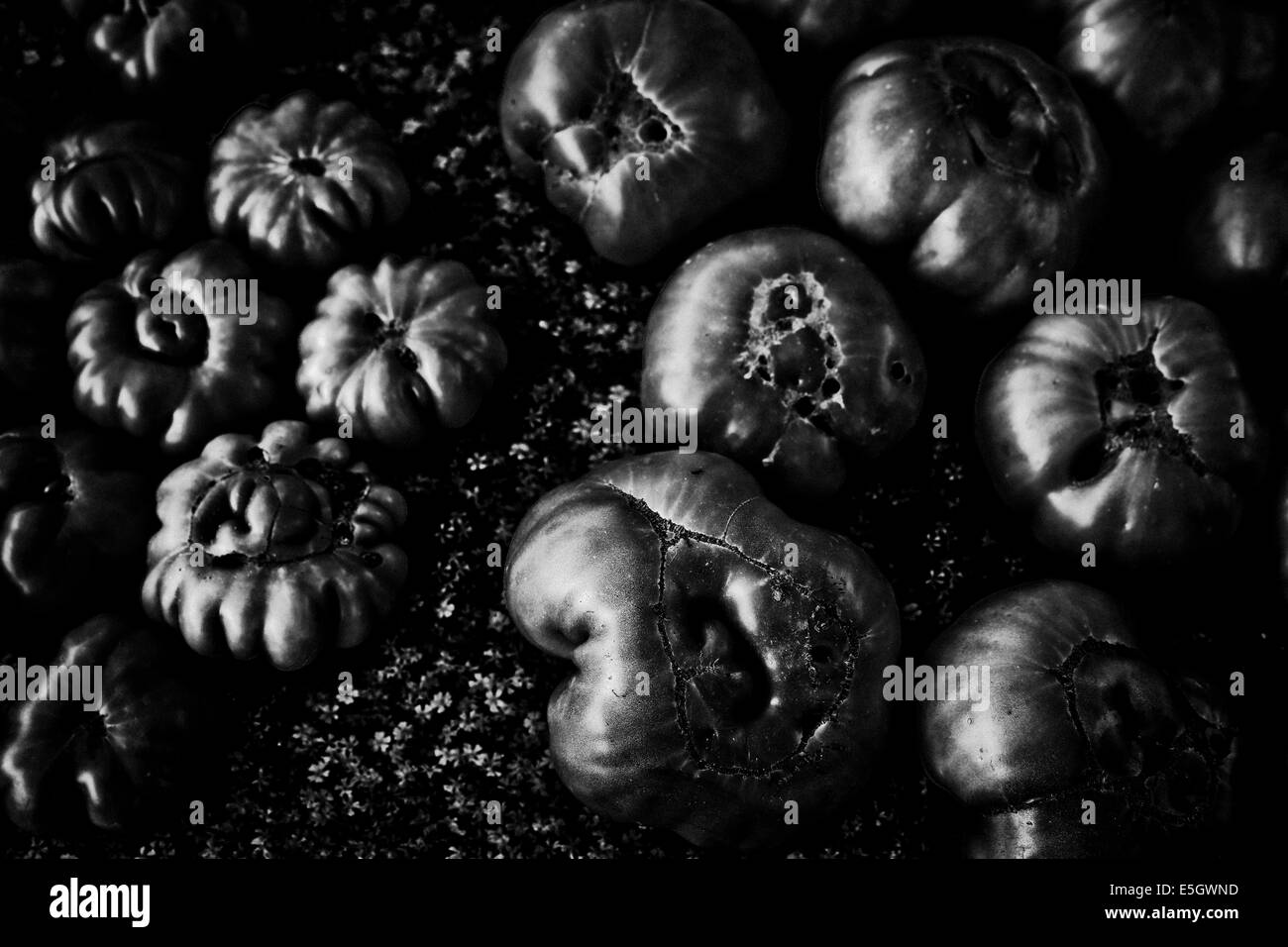 Bloomington Indiana Farmers Market black and white tomatoes horizontal Stock Photo