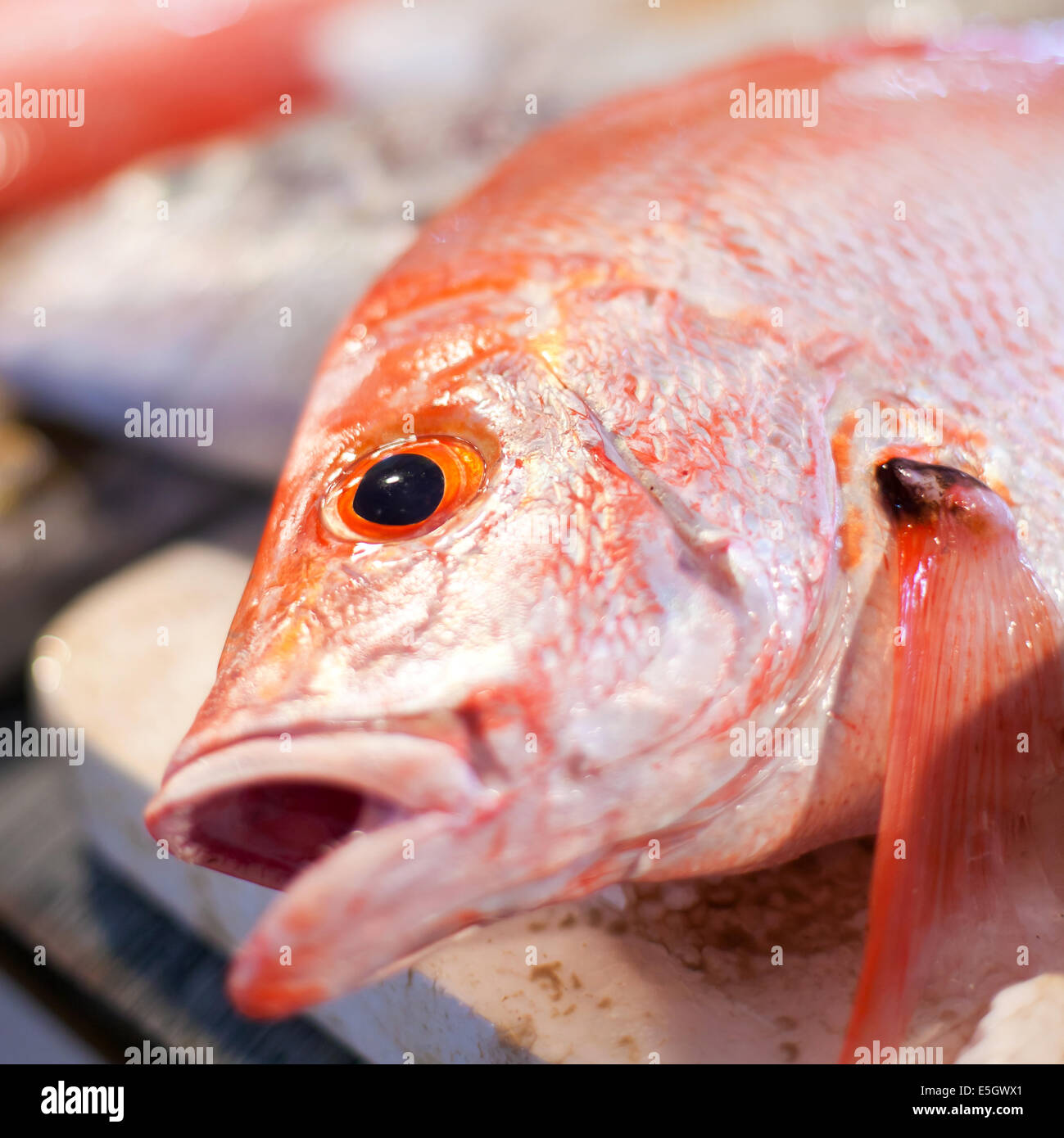 Snapper in chinese red Baked Red