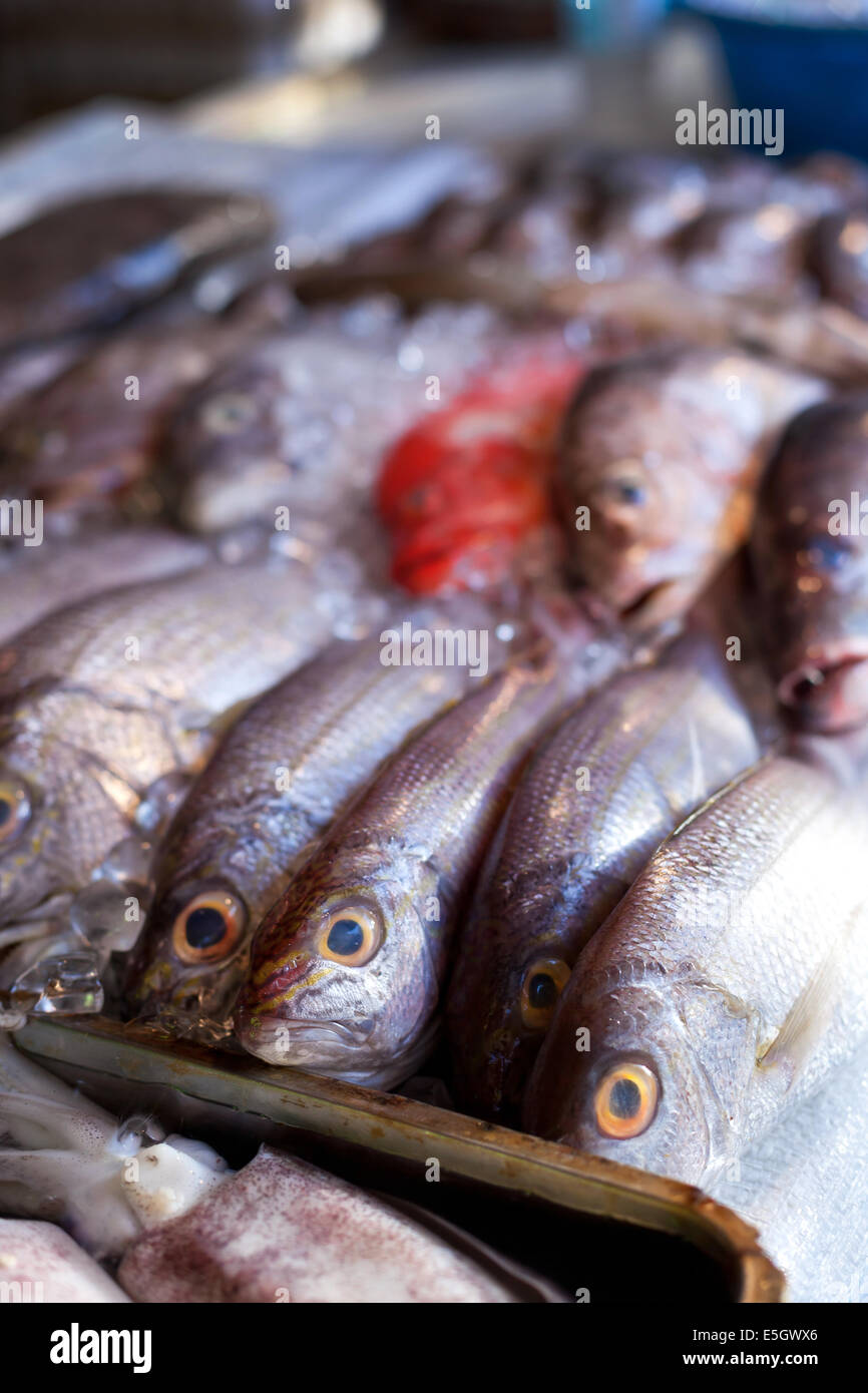 Lapu-lapu, red snapper and tuna, seafood on asian market Stock Photo