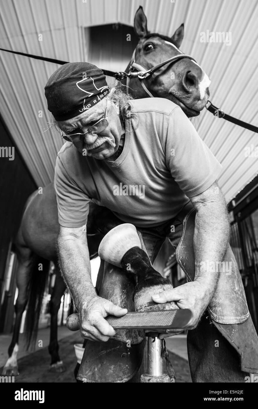 Horse farrier Henry Heymering files the hoof of a horse at a highend