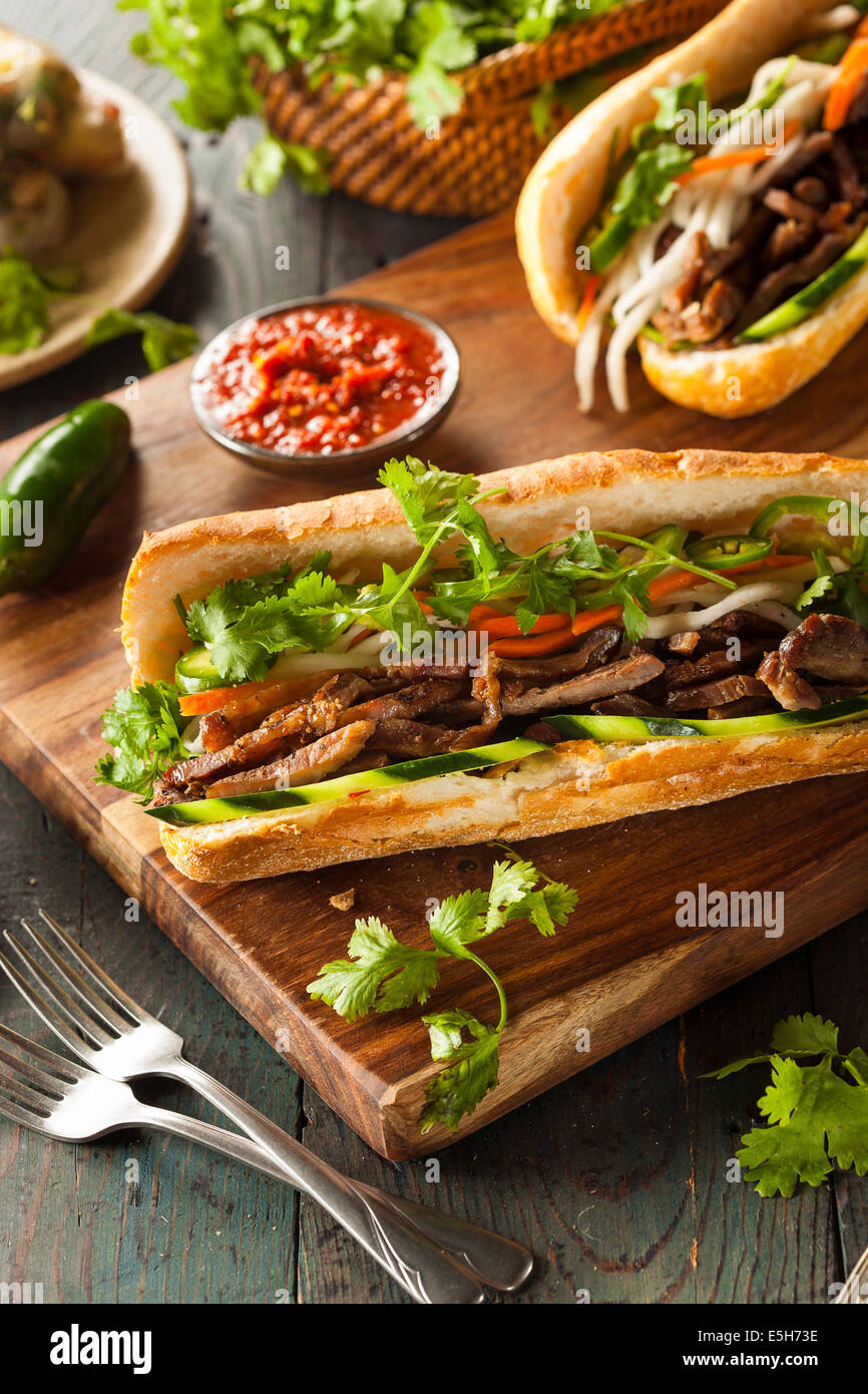 Vietnamese Pork Banh Mi Sandwich with Cilantro and Daikon Stock Photo