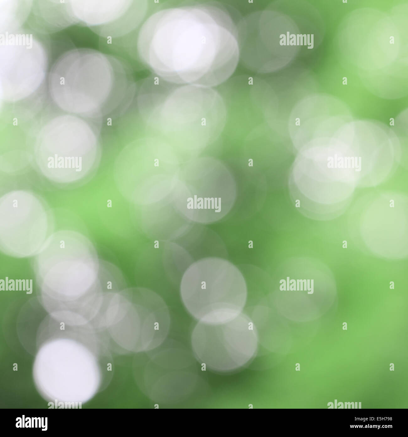 Nature green bokeh abstract background Stock Photo
