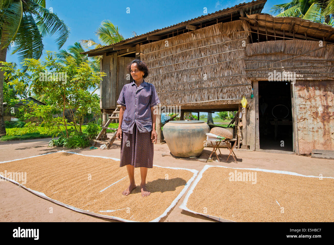 Cambodian farmer standing on the rice that is drying in the sun, in front of a simple bamboo hut, Kep, Cambodia Stock Photo