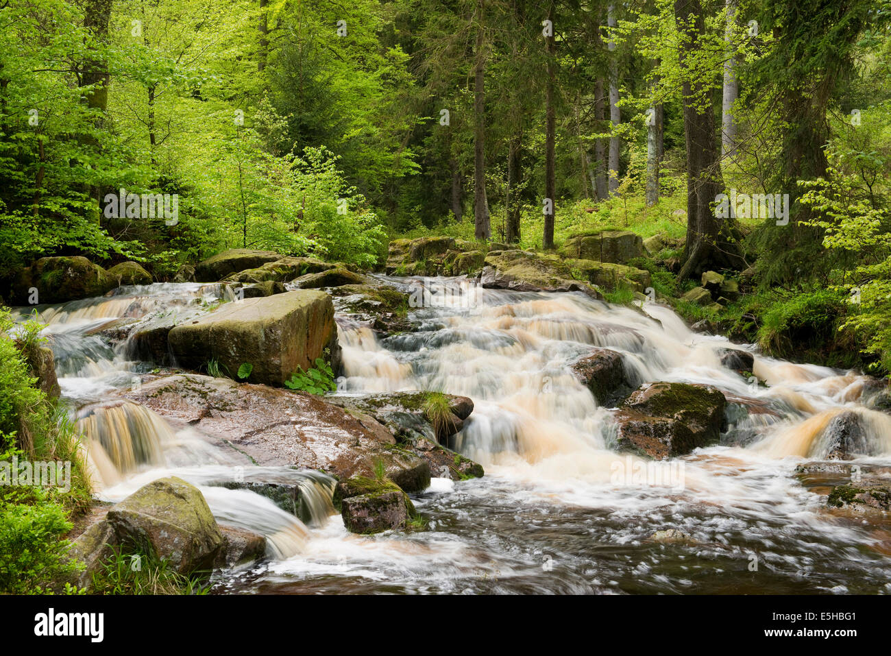 Unterer Bodefall cascade in the Warme Bode mountain river, Braunlage, Harz, Lower Saxony, Germany Stock Photo