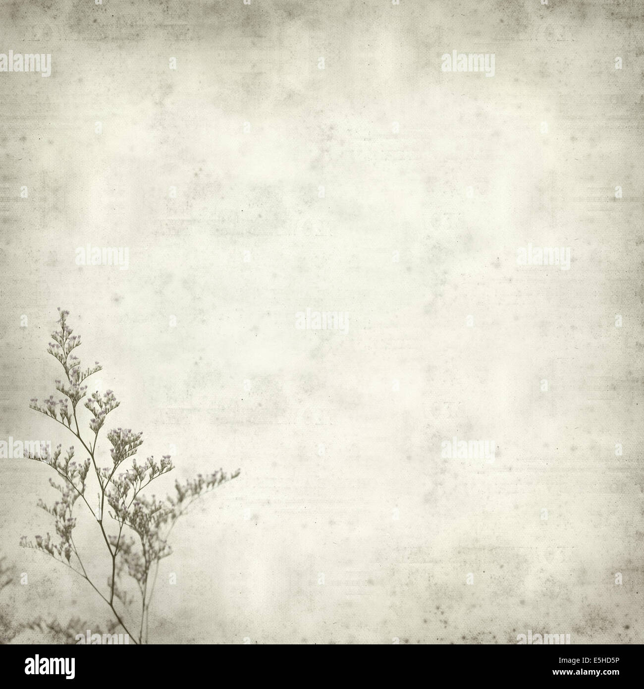 textured old paper background with tiny purple limonium  flowers Stock Photo
