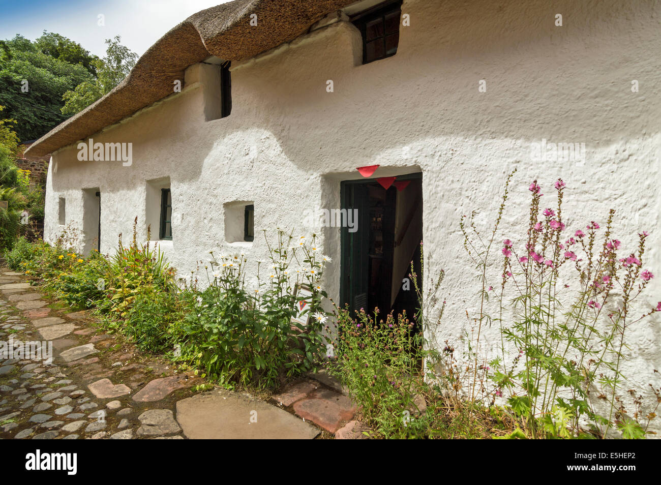 HUGH MILLER'S COTTAGE AND DOORSTEP FLOWERS IN CROMARTY ON THE BLACK ISLE SCOTLAND Stock Photo
