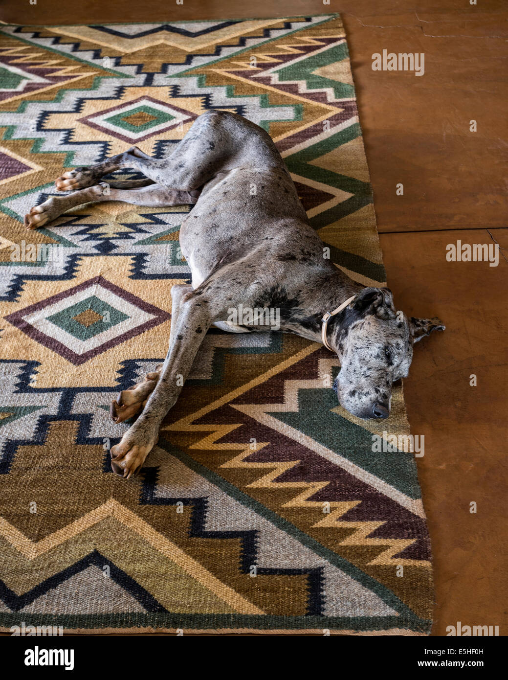 Great Dane or German Mastiff, lying on geometric patterned rug Stock Photo