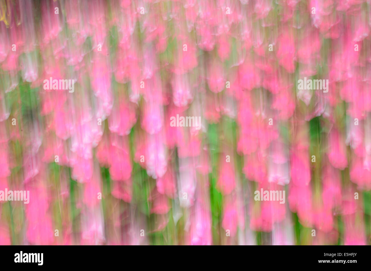 Motion blur or blurred motion hi-res stock photography and images - Alamy