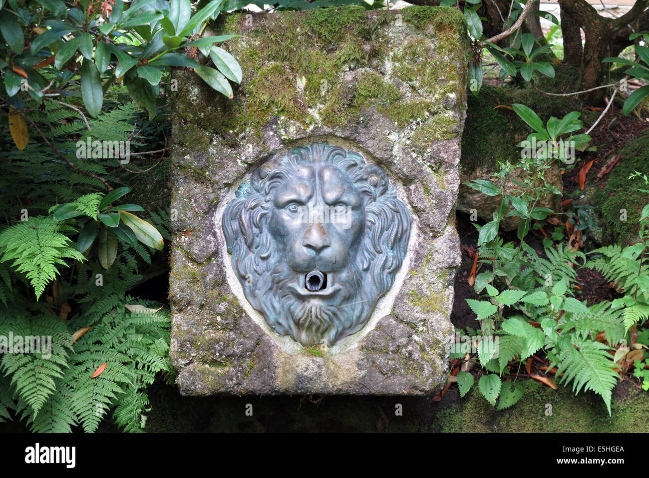 spring well in nature with lion head Stock Photo