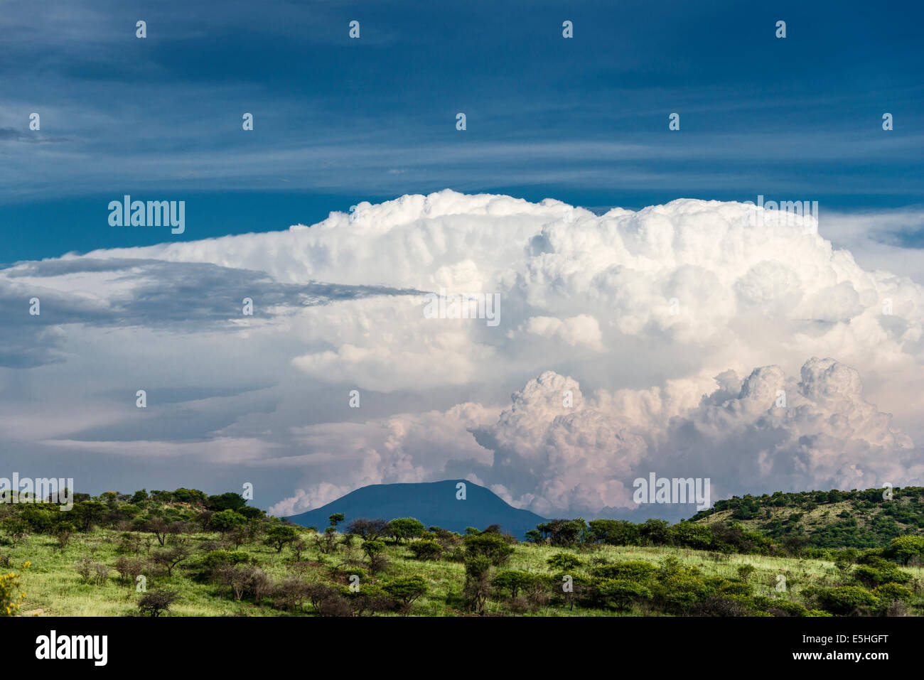 Cloud formation above trees with view to horizon in Nambiti Reserve, Kwa-Zulu Natal, South Africa Stock Photo