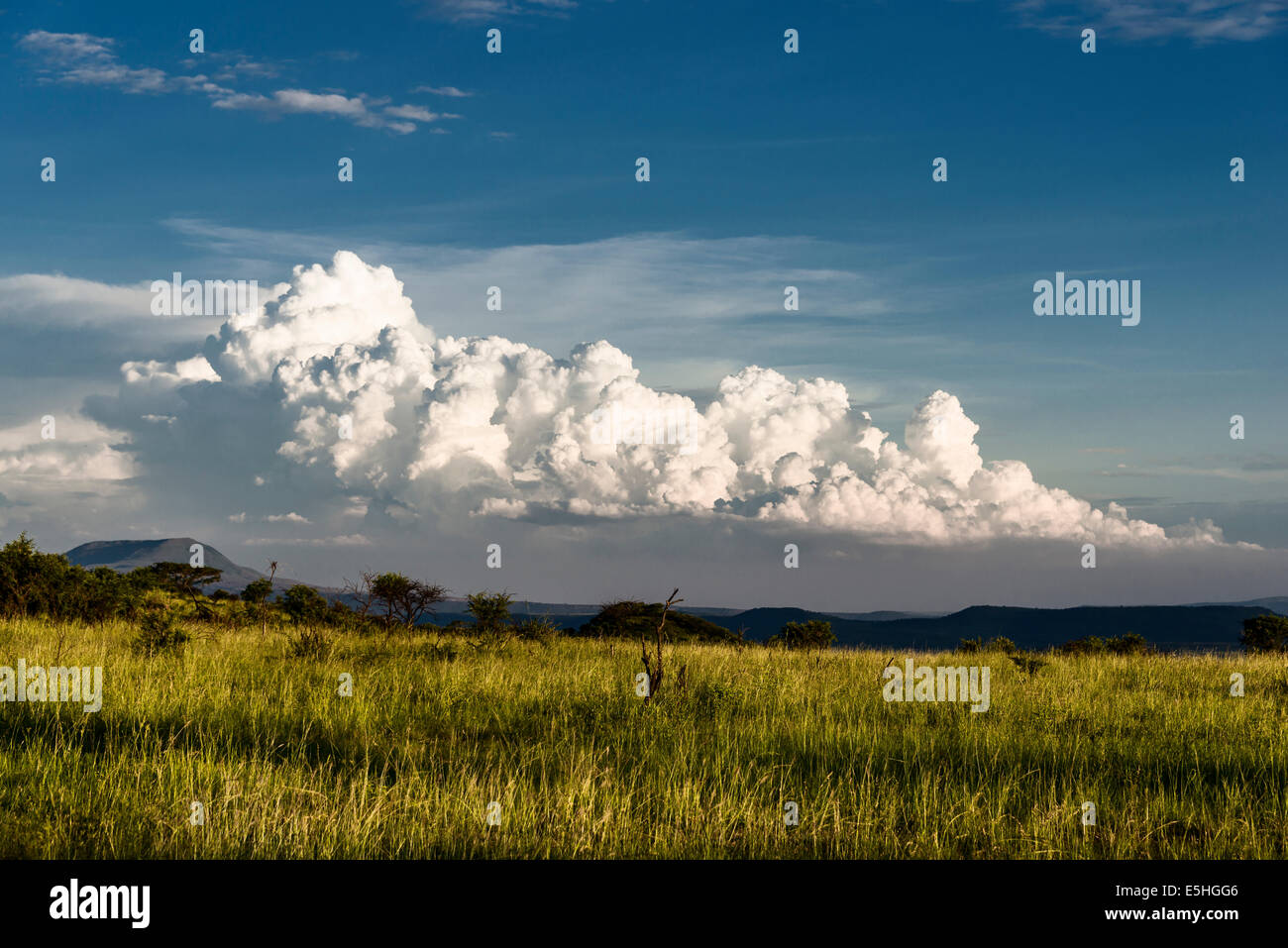 Cloud formation above savanna in Nambiti Reserve, Kwa-Zulu Natal, South Africa Stock Photo