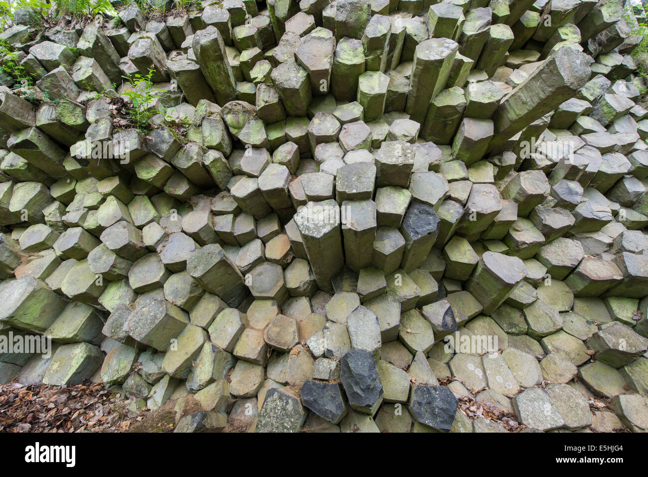 Basalt prism wall, polygonal columns of solidified lava, about 20 million years, Rhön Biosphere Reserve Stock Photo