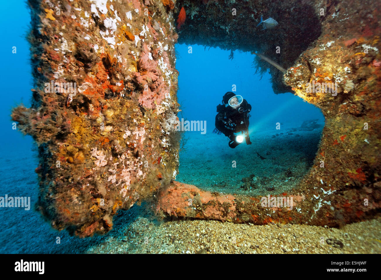 Diver at overgrown rudder, Alma Jane wreck, Sabang Beach, Puerto Galera, Mindoro, Philippines Stock Photo