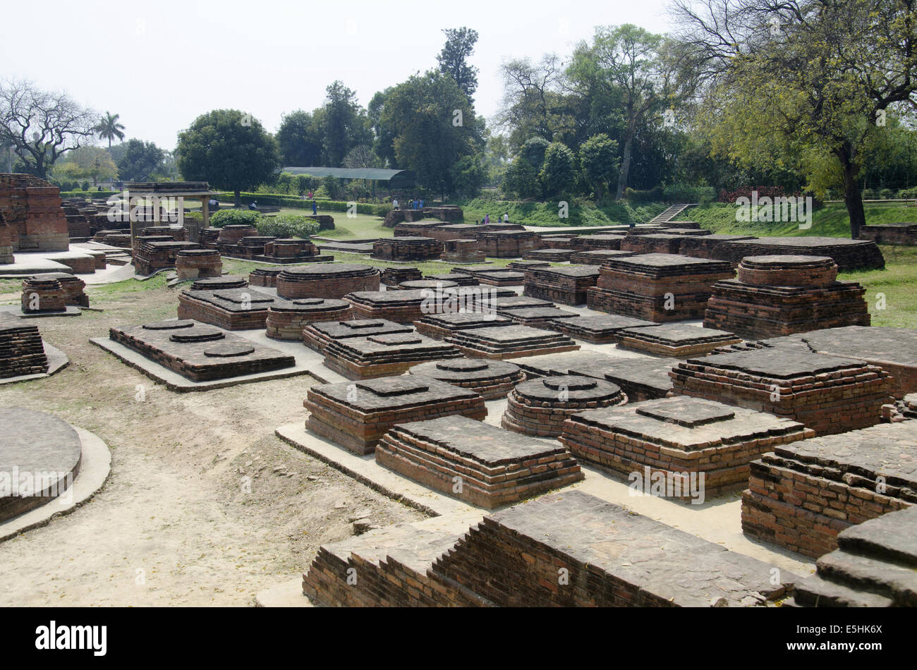 Remains of the Dharmarajika Stupa. Sarnath, Uttar Pradesh, India Stock Photo