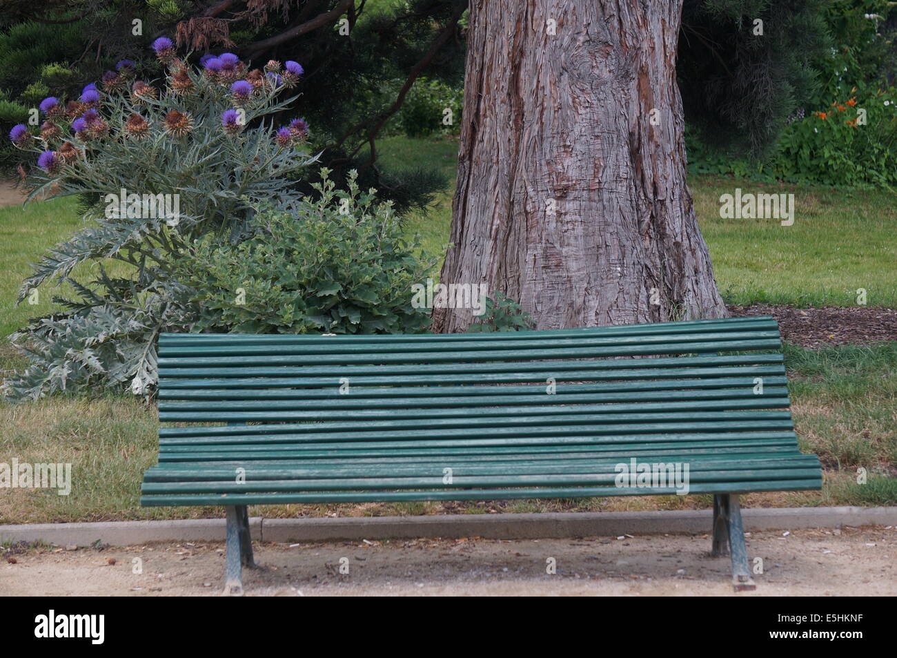 Empty green French bench with purple thistle flowers in the background in a Paris park Stock Photo