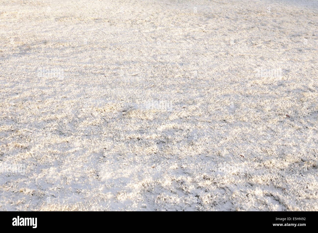 Frost grass ground hi-res stock photography and images - Alamy