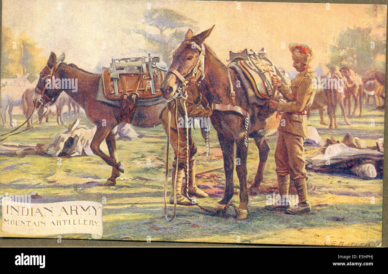 Indian Army Mountain Artillery by artist C E Butler Stock Photo Alamy