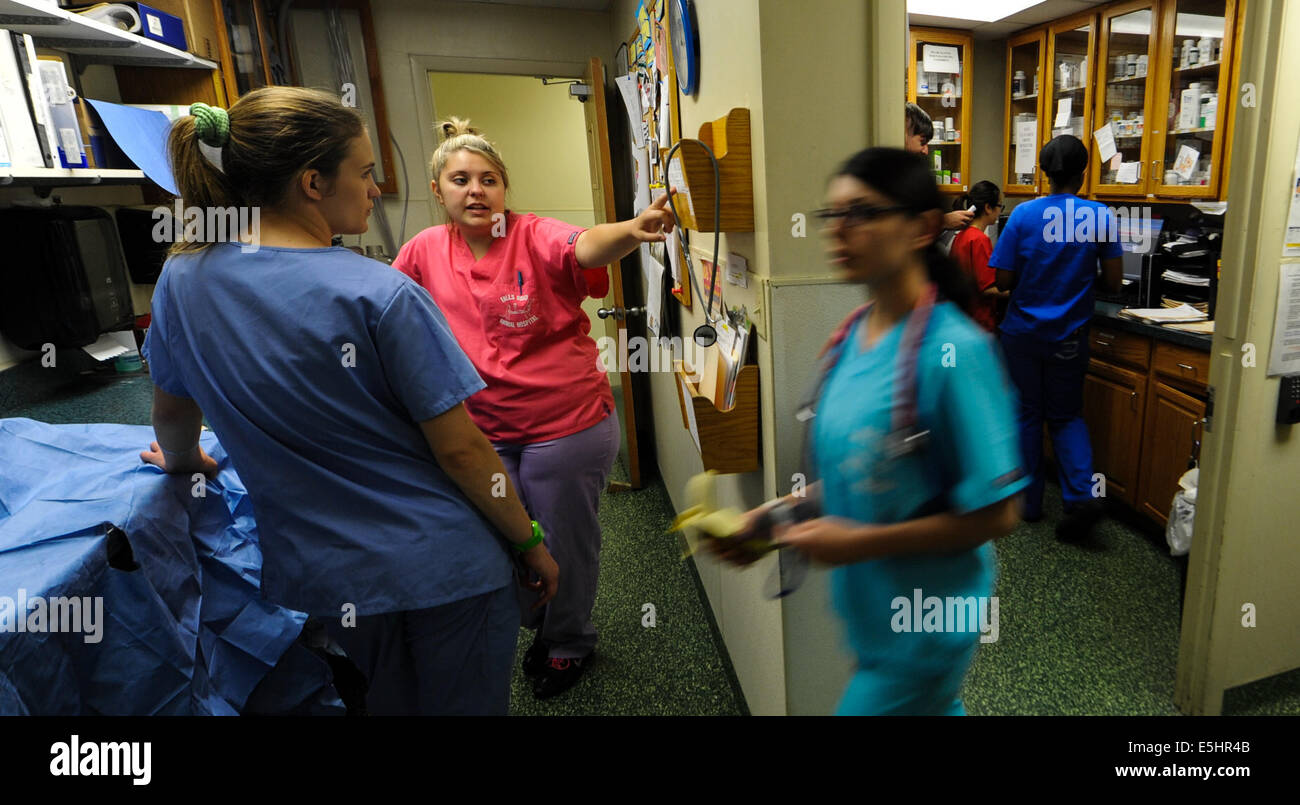 Staff members at the Falls Road Animal Hospital work at a fast pace to make sure all pets are taken care of, June 19, 2014. The Stock Photo