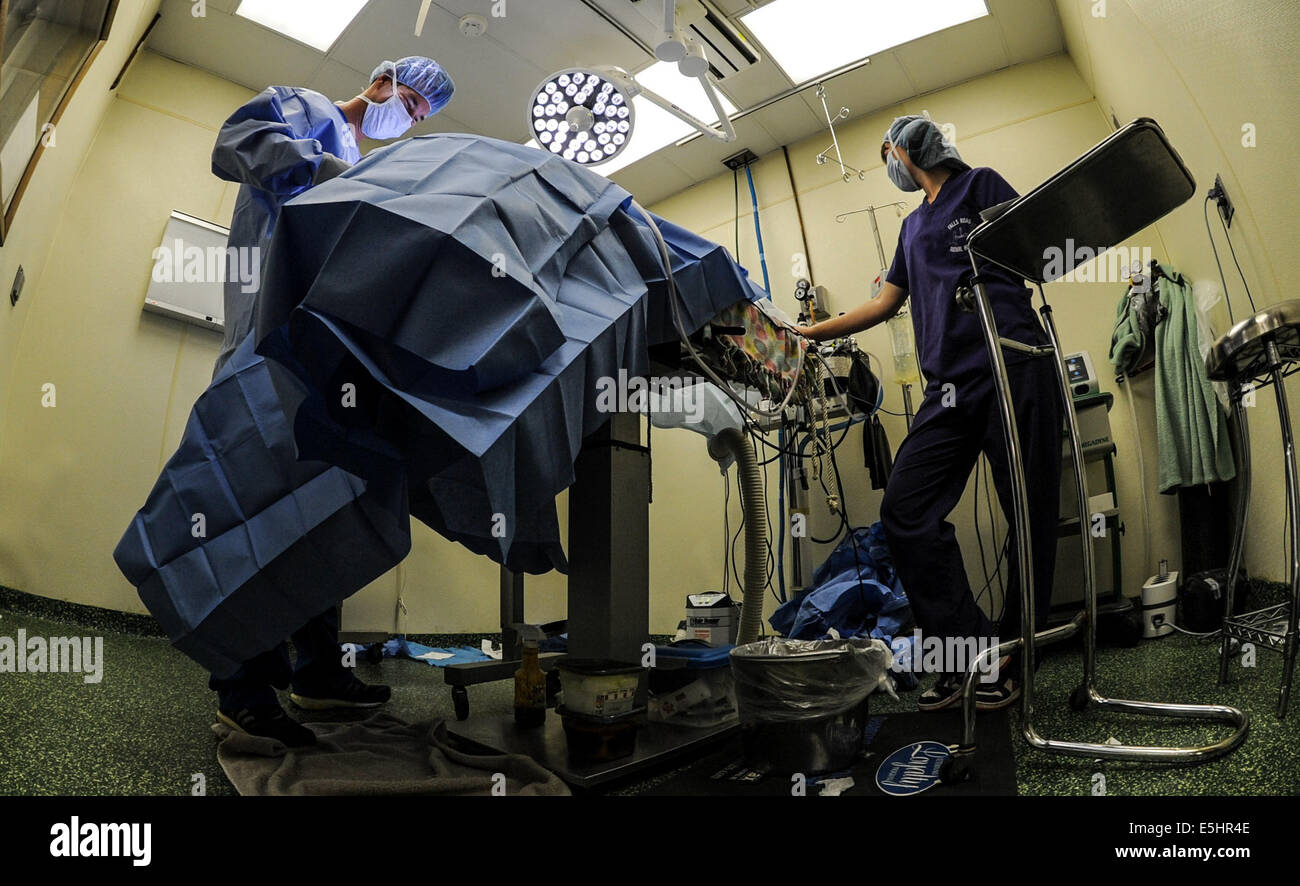 Dr patrick allen hires stock photography and images Alamy