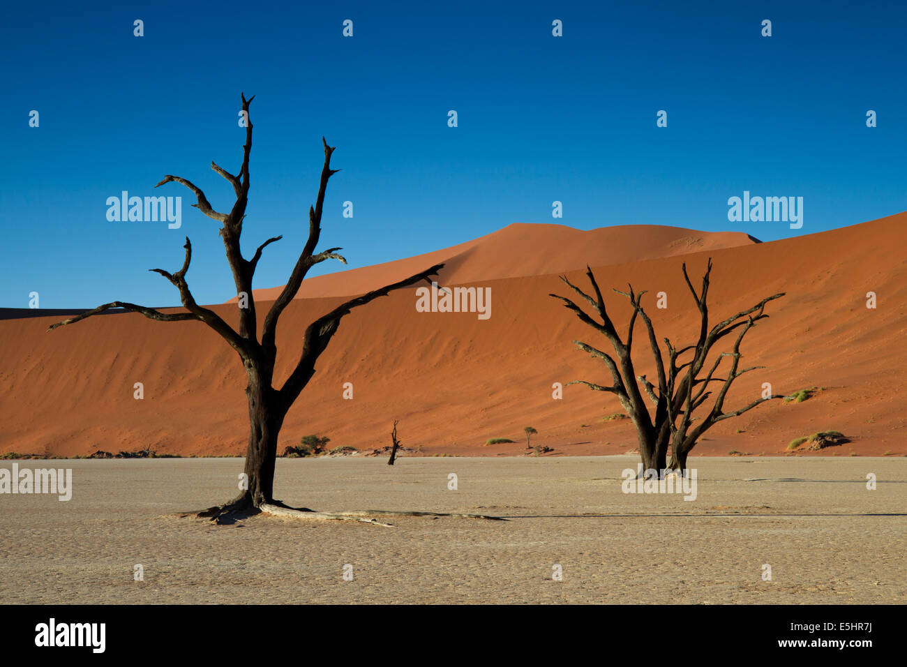 Dead trees and Red Sand Dunes, Namib Desert, Dead Vlei, Namibia Stock Photo