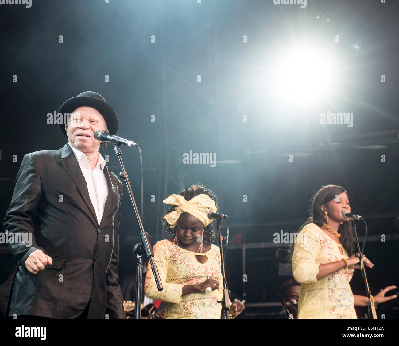 Malmesbury, UK, 27/07/2014 : Les Ambassadeurs play WOMAD - World of Music, Arts and Dance. Persons Pictured: Salif Keita. Picture by Julie Edwards Stock Photo