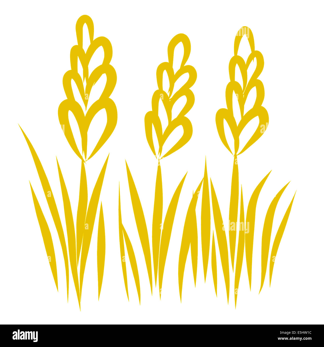 Illustration of wheat Stock Photo