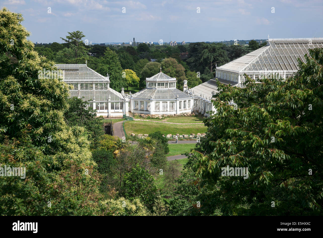 View of Temperate House from the Xstrata Treetop Walkway - Kew Gardens, London Stock Photo