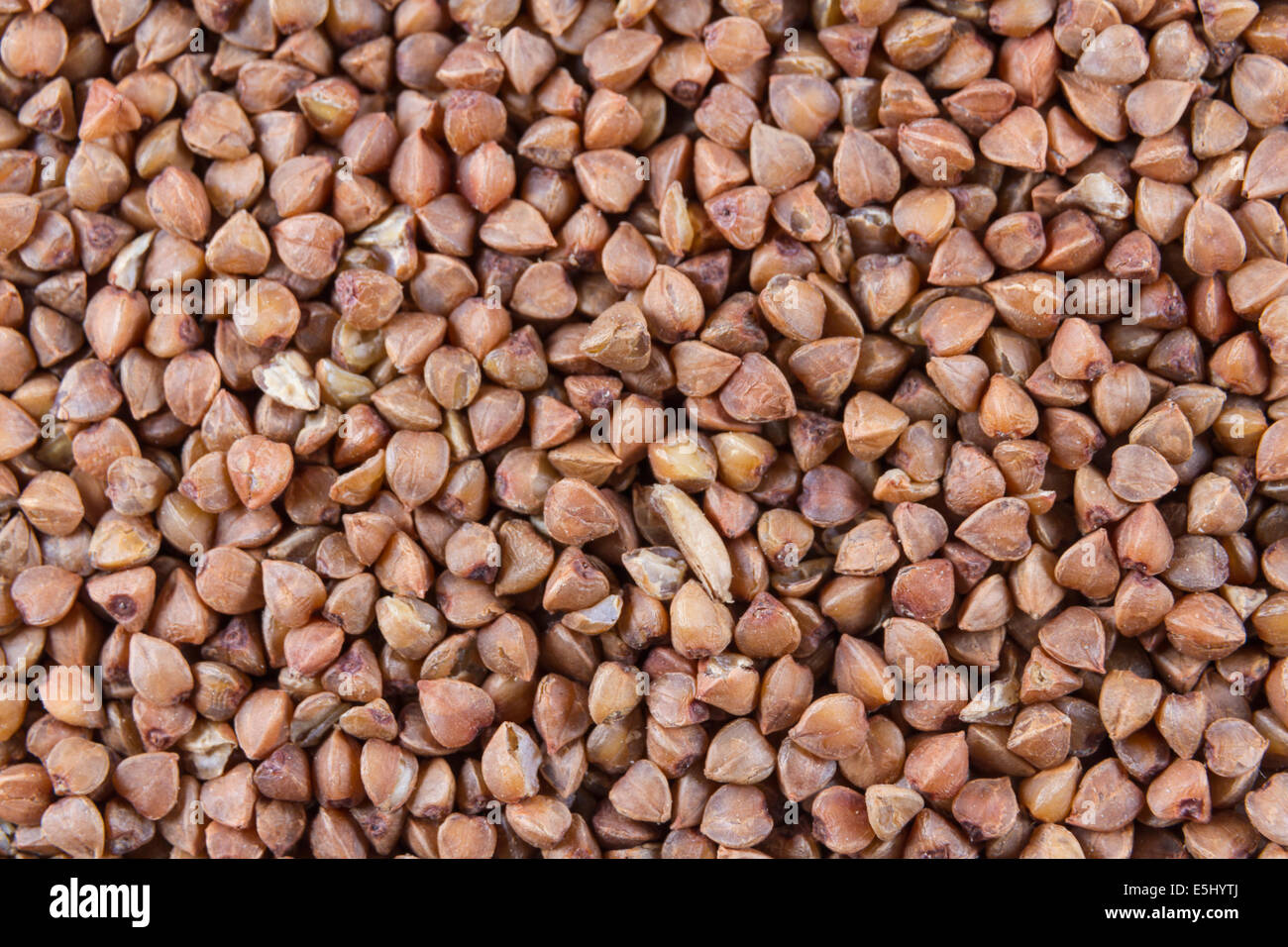 Close up of Buckwheat or Grechka in Russian Stock Photo Alamy