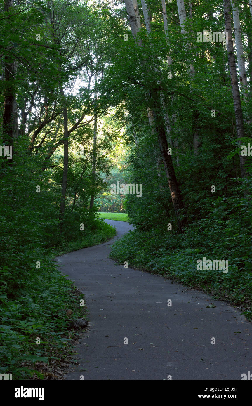 Winding path woods hires stock photography and images Alamy