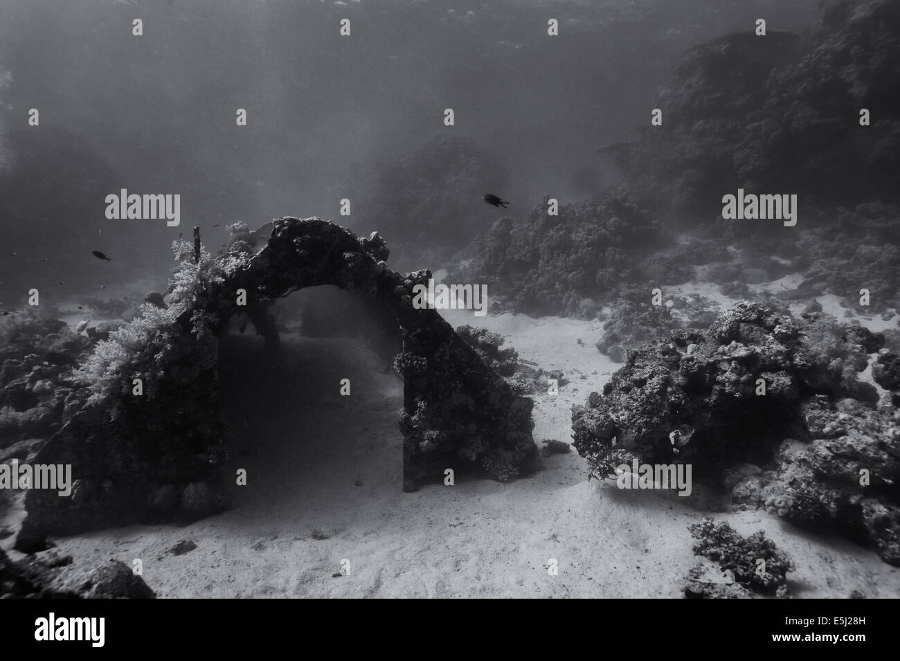 Remains of Précontinent II, Conshelf II in the Red Sea off Sudan coast ...