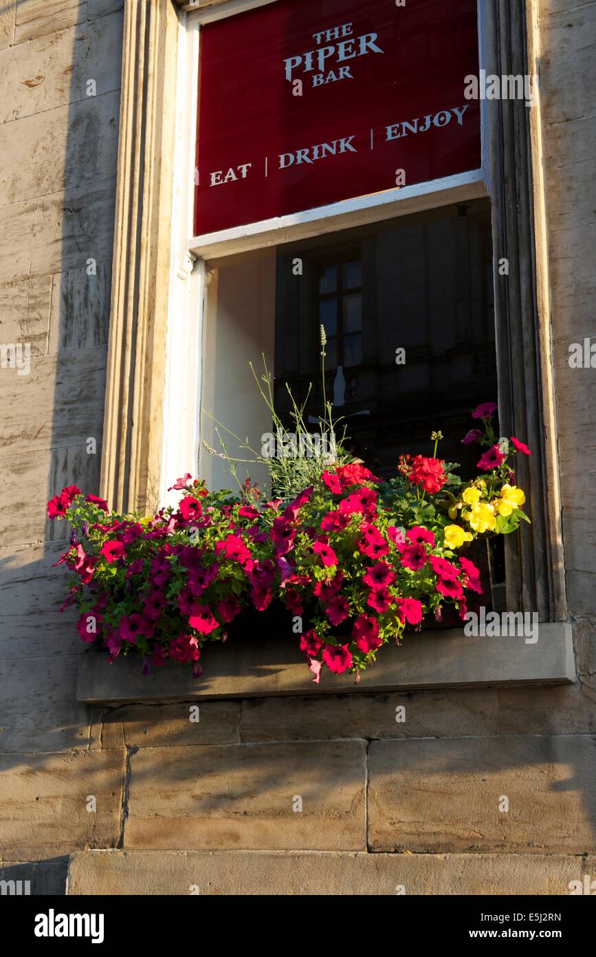Window box display of flowers at the Piper bar, Glasgow Stock Photo Alamy