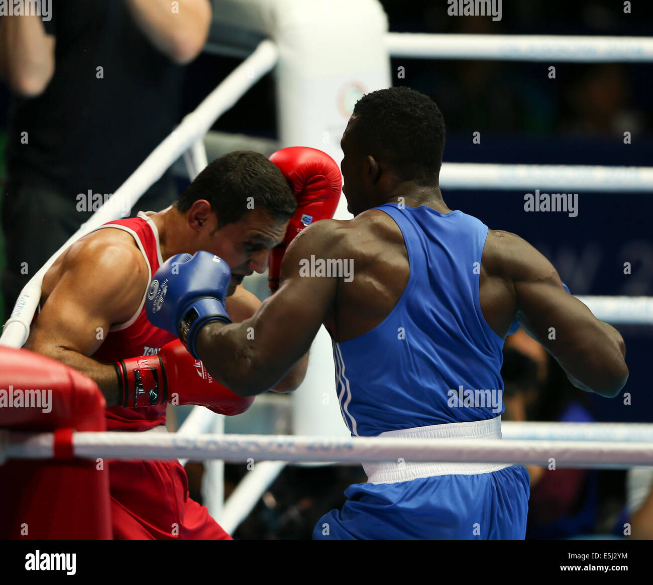 SECC Glasgow Scotland 1 Aug 2014. Day 9 Boxing semi-finals.  Samir El-Mais CAN beats Efetobor Apochi NGR Credit:  ALAN OLIVER/Alamy Live News Stock Photo