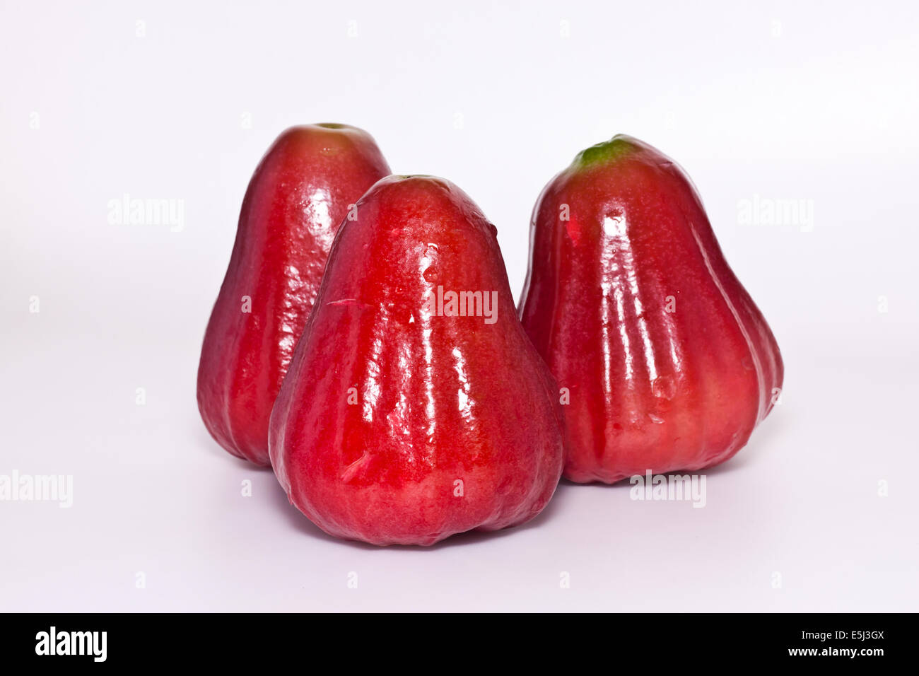 rose apple Stock Photo Alamy
