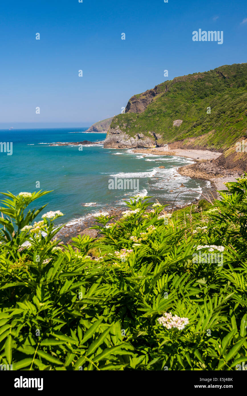 The Basque coast near Bermeo, Basque Country, Spain Stock Photo