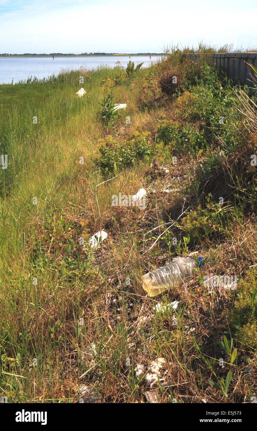 A view of rubbish deposited on the high water line at Breydon Water