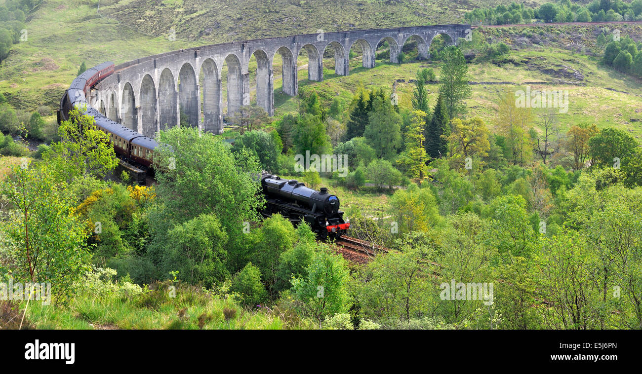 The Jacobite steam train crossing Glenfinnan viaduct, Scotland, UK Stock Photo