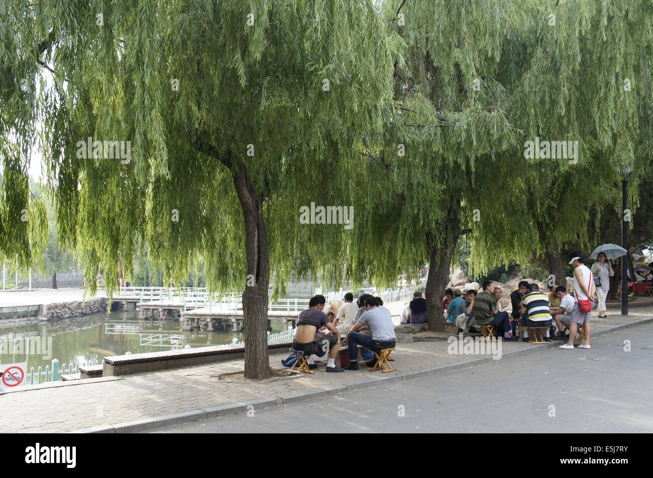 local people relaxing and playing cards at Labor (Laodong) park, Dalian, China Stock Photo