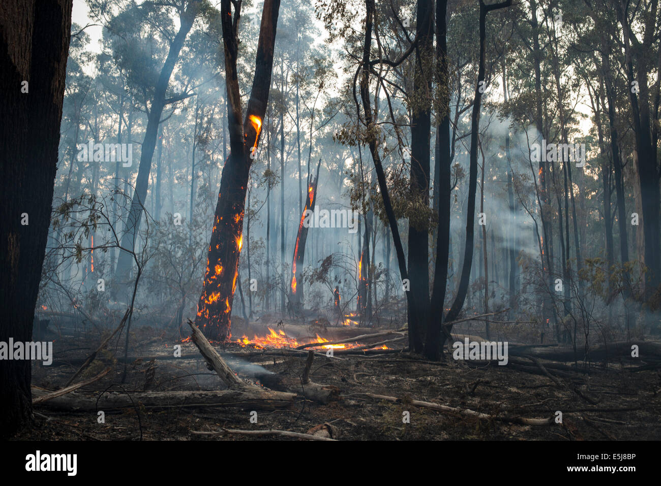 Burn off hires stock photography and images Alamy