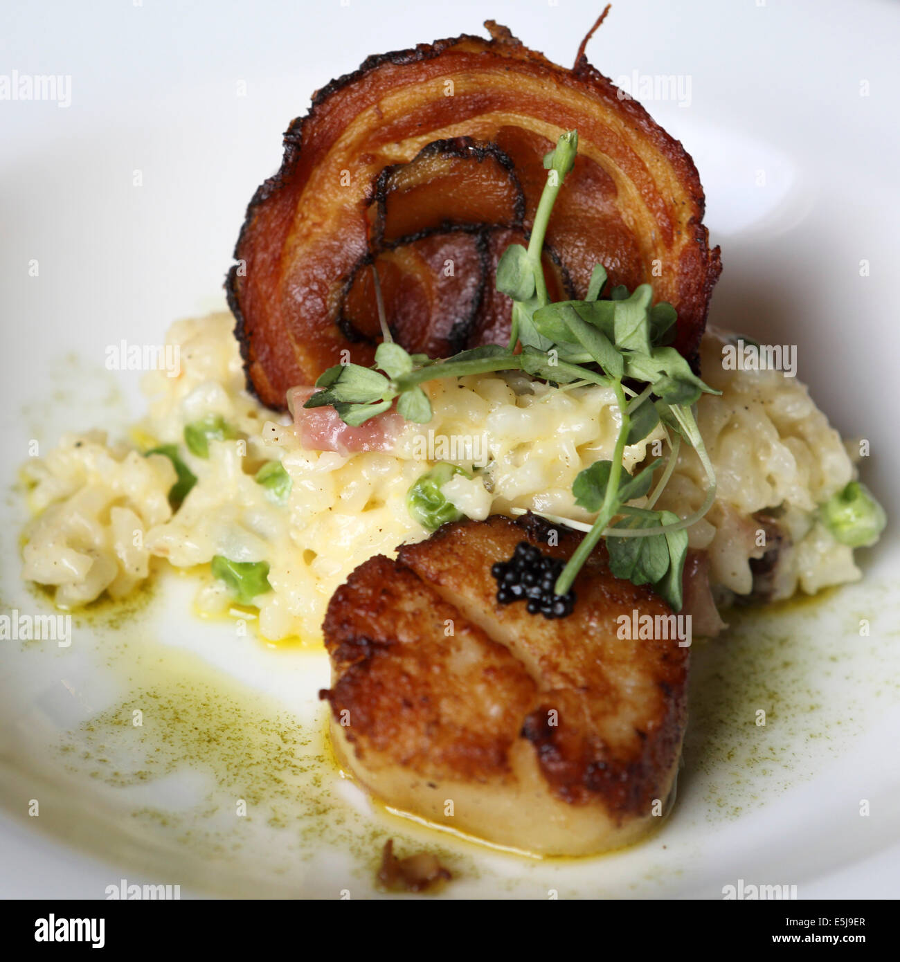 Risotto served with crispy bacon and a seared scallop Stock Photo Alamy