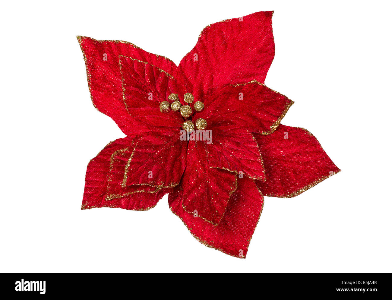 Christmas Material, X'mas Flower 、pinus, Christmas Hat And Stocking On Red  Background Stock Photo, Picture and Royalty Free Image. Image 194316622.
