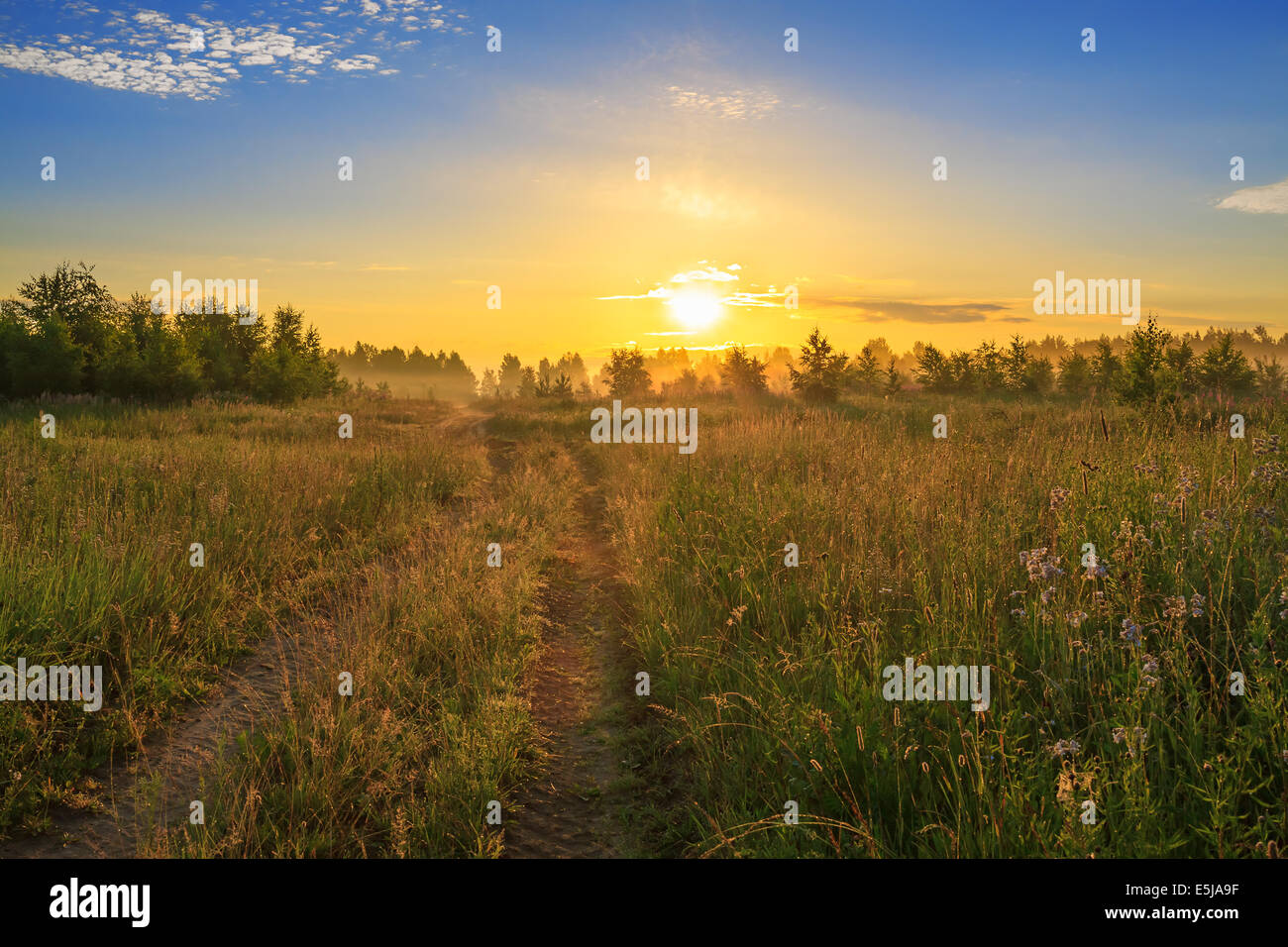summer rural landscape with sunrise, fog and the road Stock Photo - Alamy