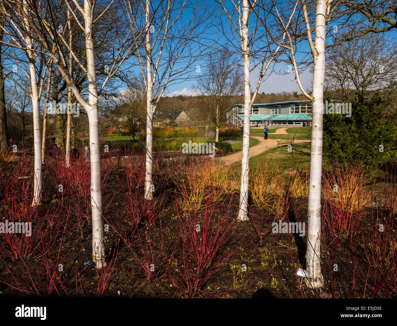 RHS Gardens at Harlow Carr, Harrogate, Yorkshire Stock Photo